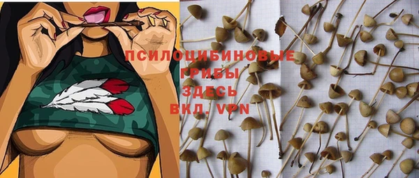 герыч Аркадак