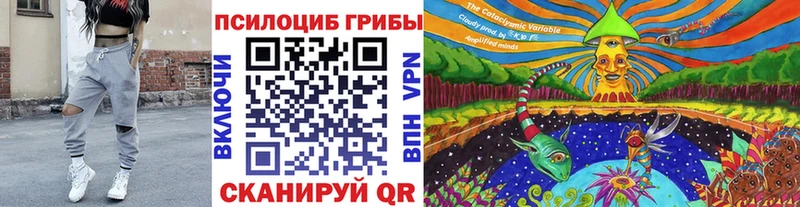 купить наркотики цена  Дзержинск  Галлюциногенные грибы GOLDEN TEACHER 